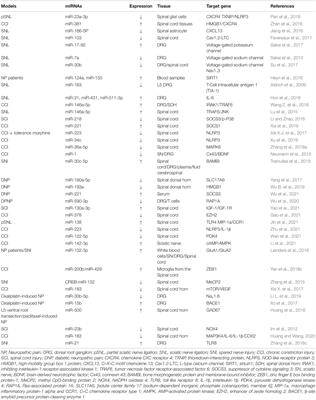 Advances With Non-coding RNAs in Neuropathic Pain